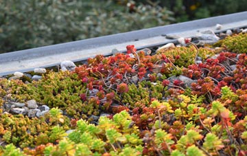 the cost of Bexley green roof installation