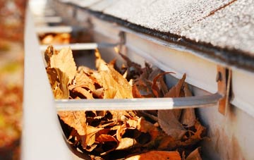 Bexley gutter cleaning companies
