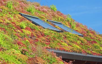 Bexley living roof systems