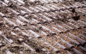 Bexley roof cleaning companies