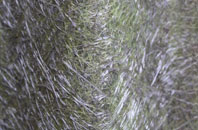 Bexley fibreglass roof work